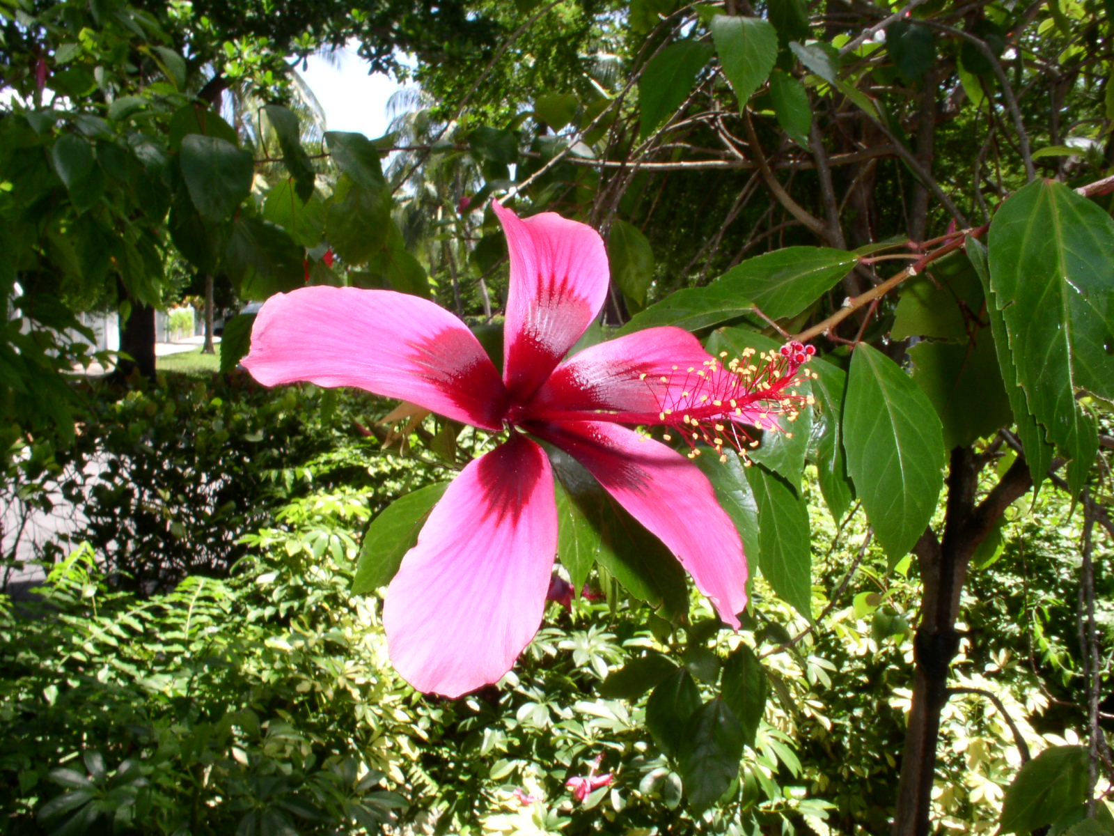 photo1